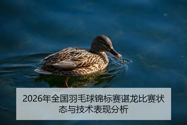 nian-quan-guo-yu-mao-qiu-jin-biao-sai-chen-long-bi-sai-zhuang-tai-yu-ji-shu-biao-xian-fen-xi-1-423.jpg