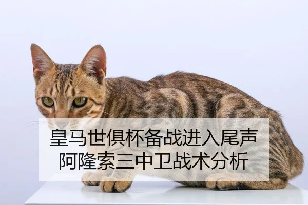 皇马世俱杯备战进入尾声 阿隆索三中卫战术分析