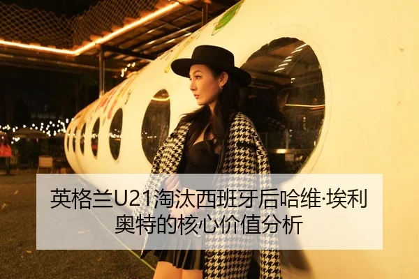 ying-ge-lan-tao-tai-xi-ban-ya-hou-ha-wei-ai-li-ao-te-de-he-xin-jia-zhi-fen-xi-2-428.jpg