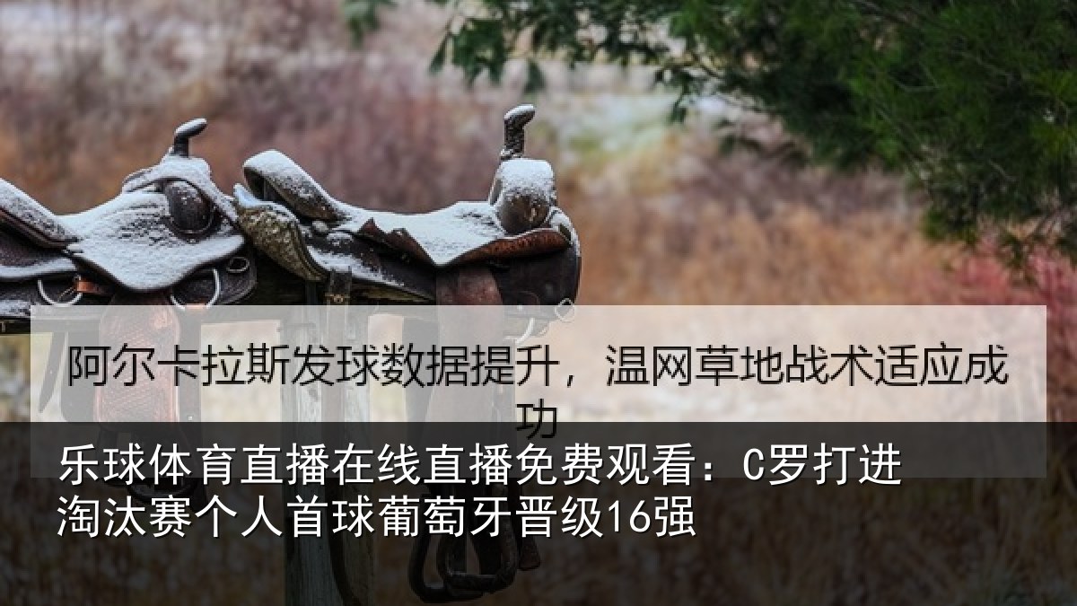 乐球体育直播在线直播免费观看：C罗打进淘汰赛个人首球葡萄牙晋级16强