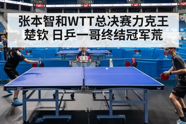 张本智和WTT总决赛力克王楚钦 日乒一哥终结冠军荒